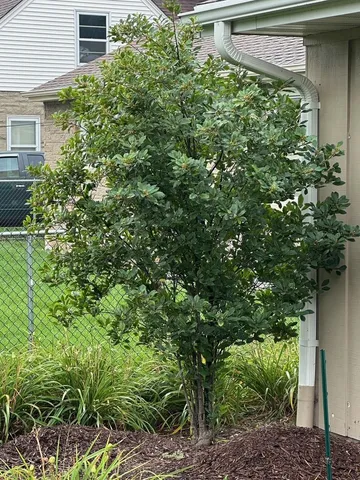 $400,000 | 2308 North Appleton Street, Appleton, WI 54911