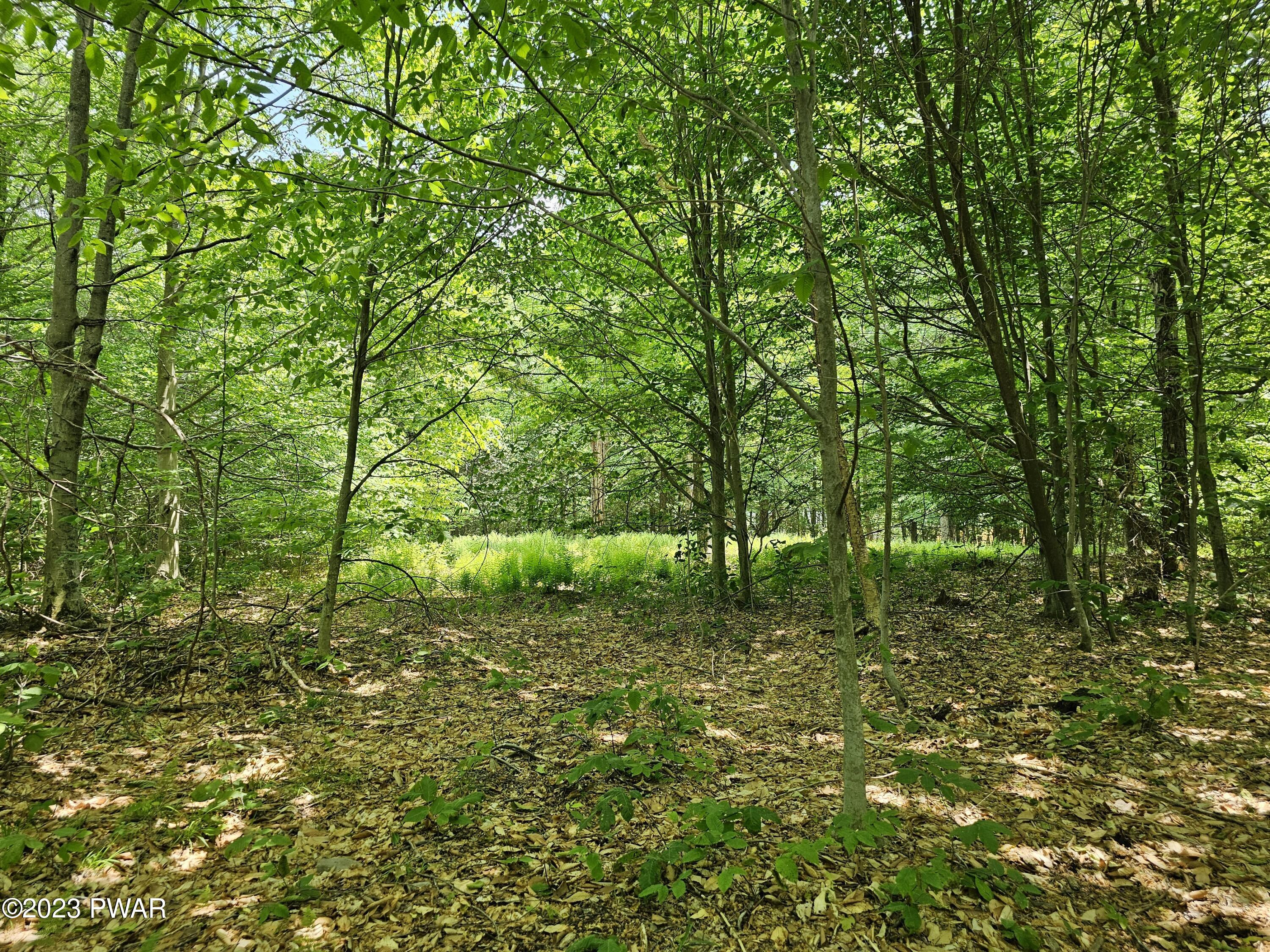 Lot 69 Stonegate Road Equinunk, PA 18417 - Photo 10 of 29