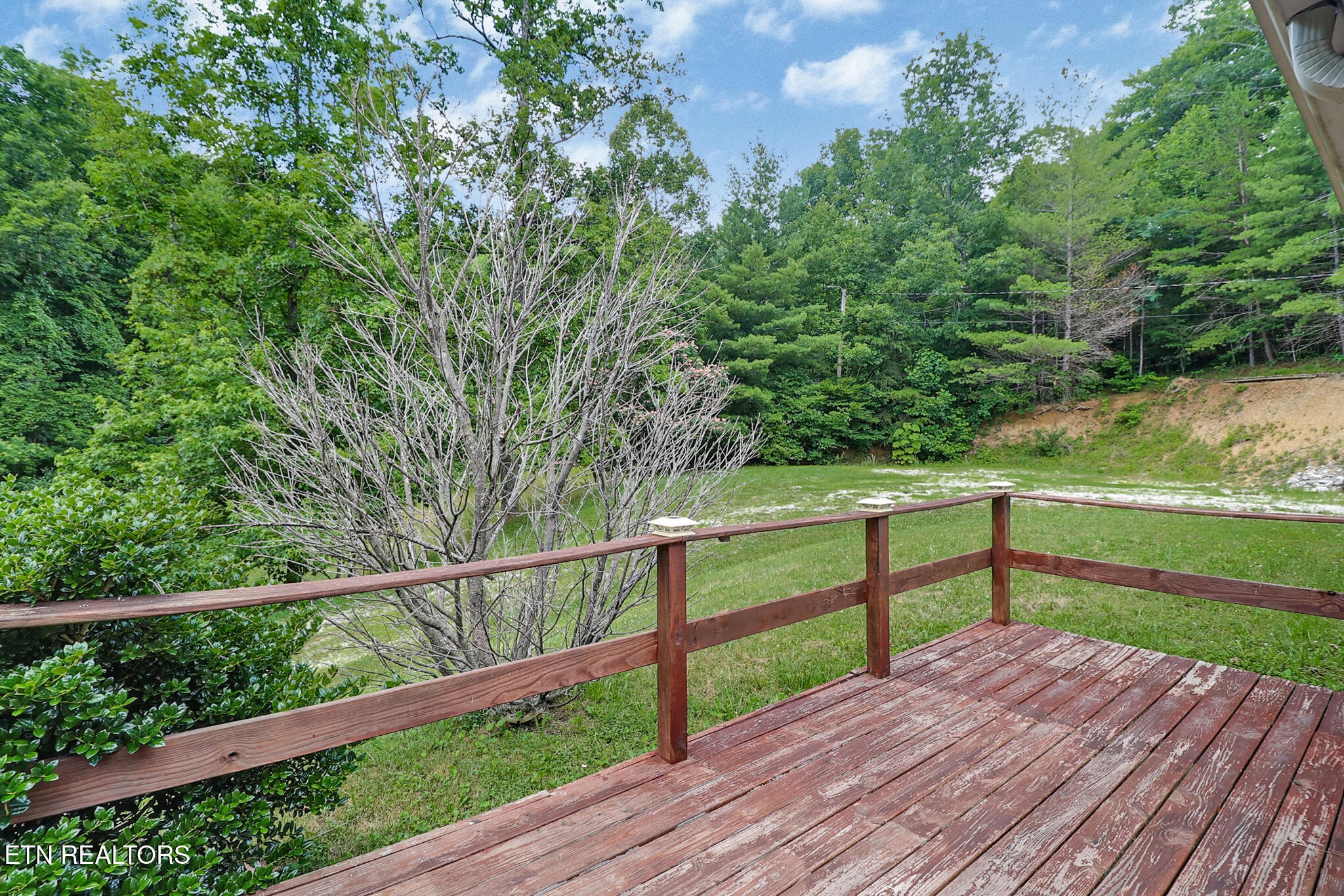 395 Ashley Lane Oneida, TN 37841 - Photo 39 of 40