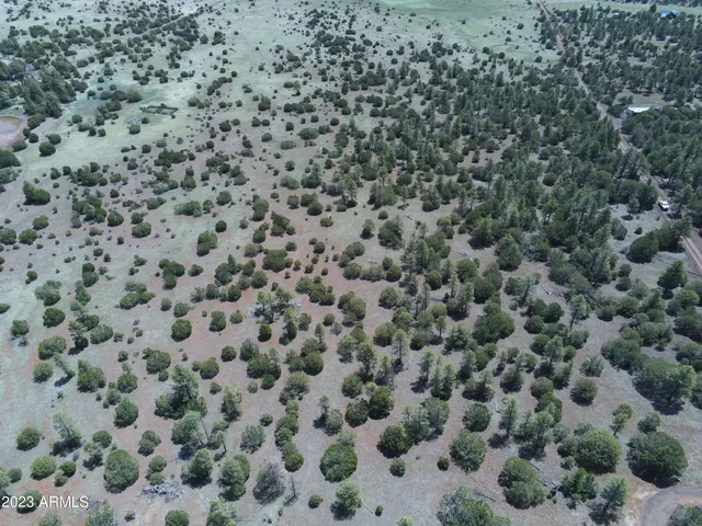 a view of city with ocean
