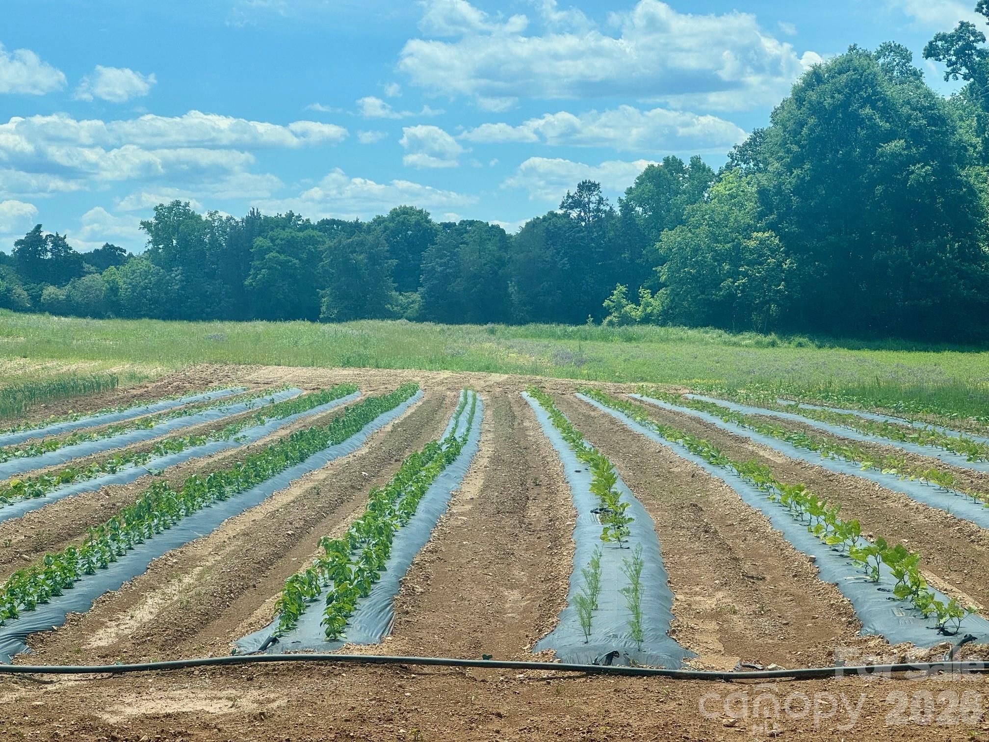 36299 Finger Road Mount Pleasant, NC 28124 - Photo 2 of 8 a view of a basket ball ground