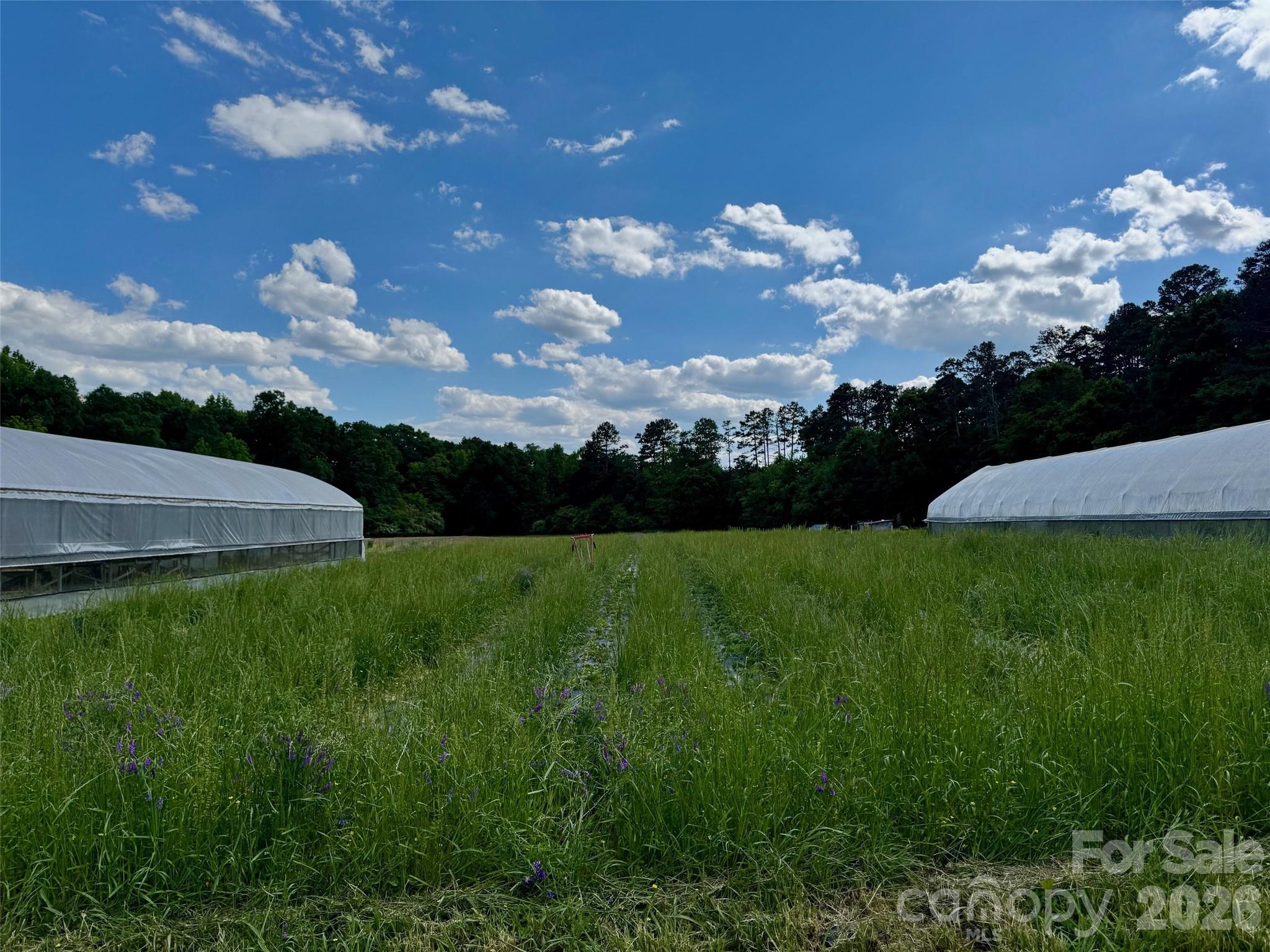 36299 Finger Road Mount Pleasant, NC 28124 - Photo 3 of 8 a view of a house with a big yard