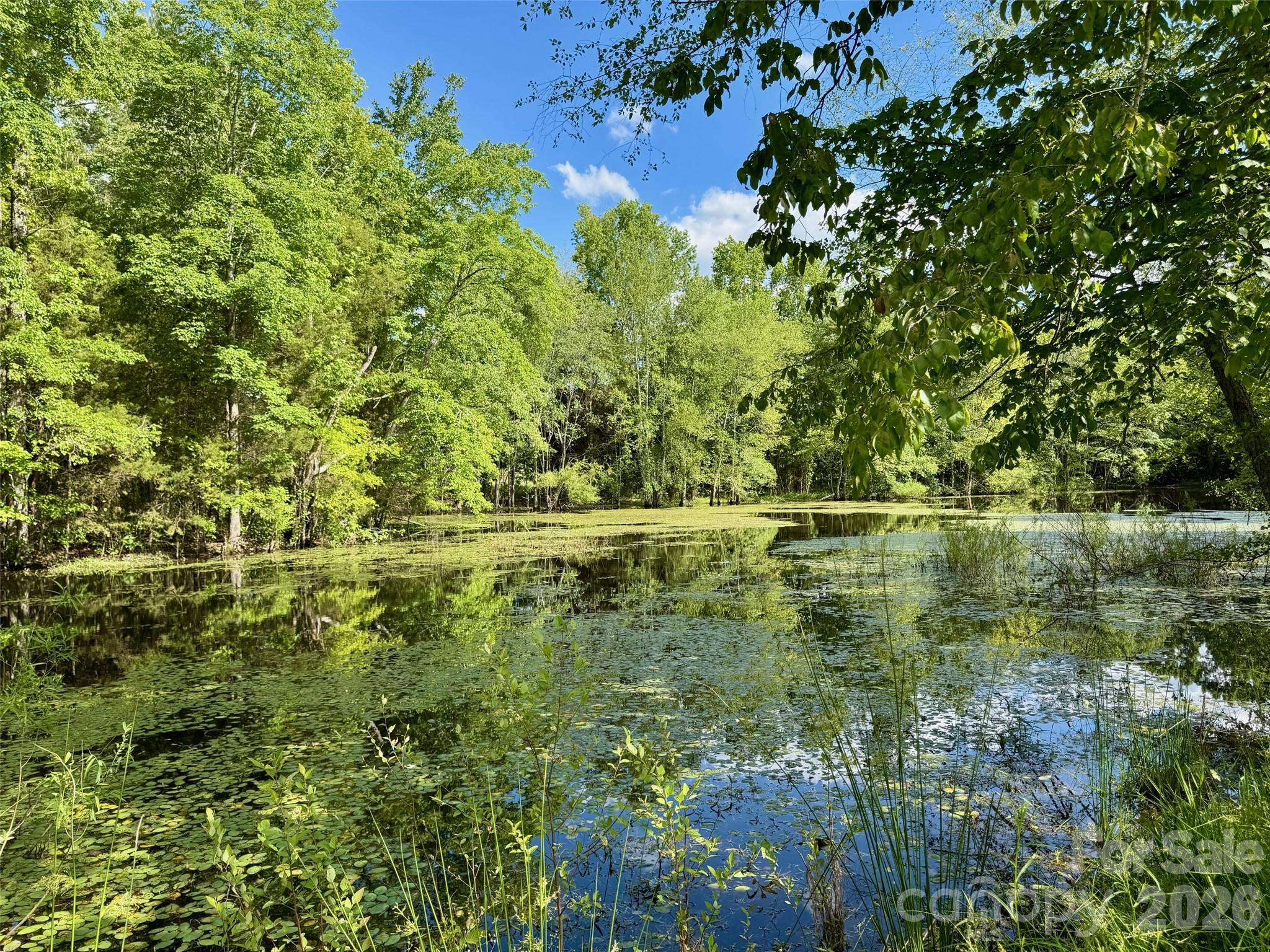 36299 Finger Road Mount Pleasant, NC 28124 - Photo 4 of 8 a view of a lake with a yard