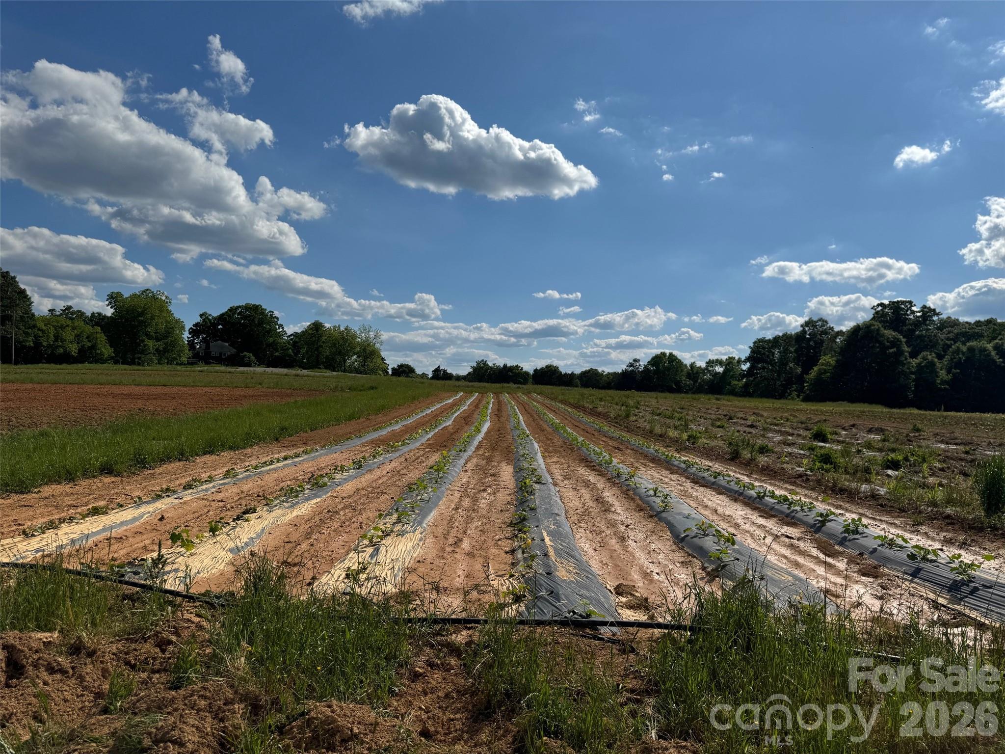 36299 Finger Road Mount Pleasant, NC 28124 - Photo 8 of 8