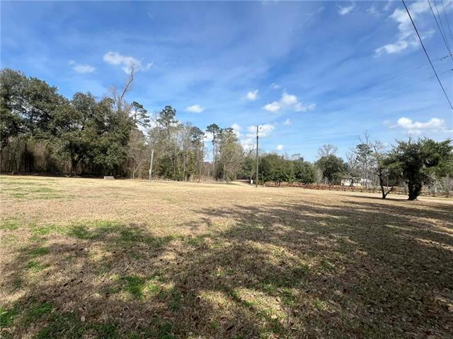 16683 Meisner Road Springfield, LA 70462 - Photo 2 of 5