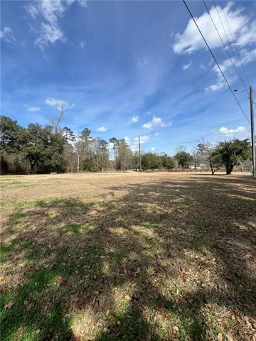 16683 Meisner Road Springfield, LA 70462 - Photo 2 of 5