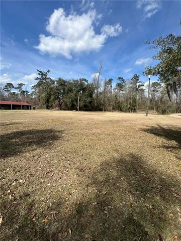 16683 Meisner Road Springfield, LA 70462 - Photo 4 of 5