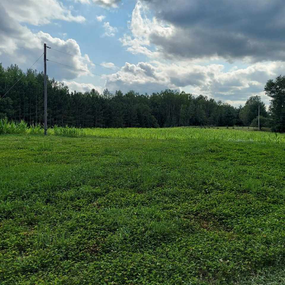 Tbd West Herrick Road Farwell, MI 48622 - Photo 4 of 7
