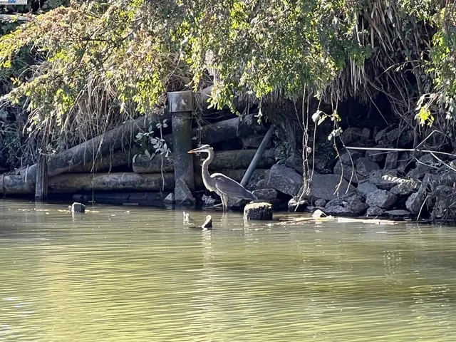 $2,450 | 6020 Lindemann Road, Discovery Bay, CA 94505