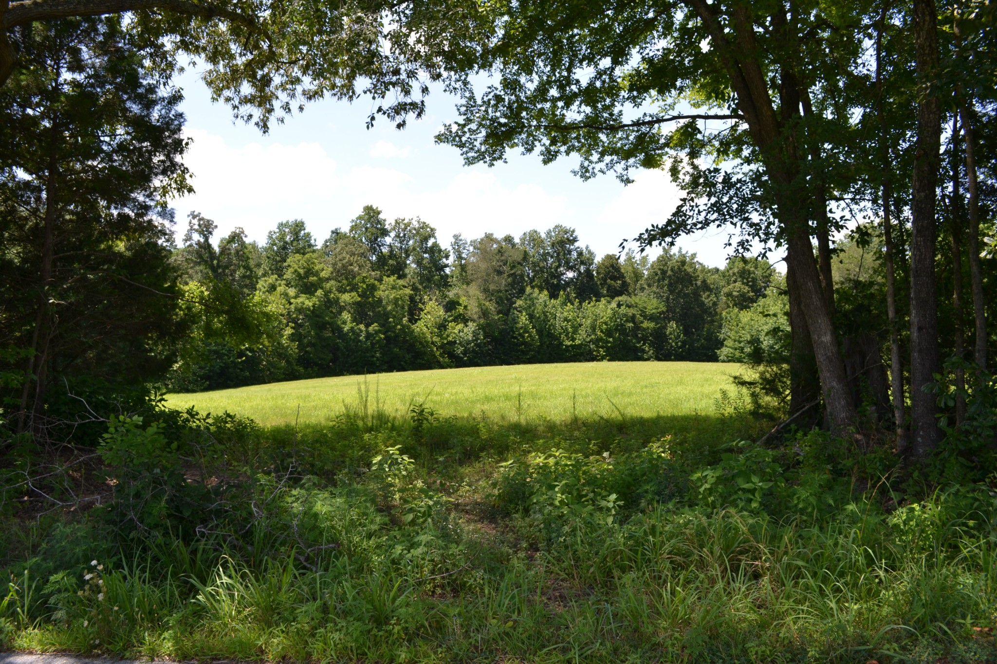 15 Hayes Ridge Road Indian Mound, TN 37079 - Photo 11 of 14 Gallery Image 11