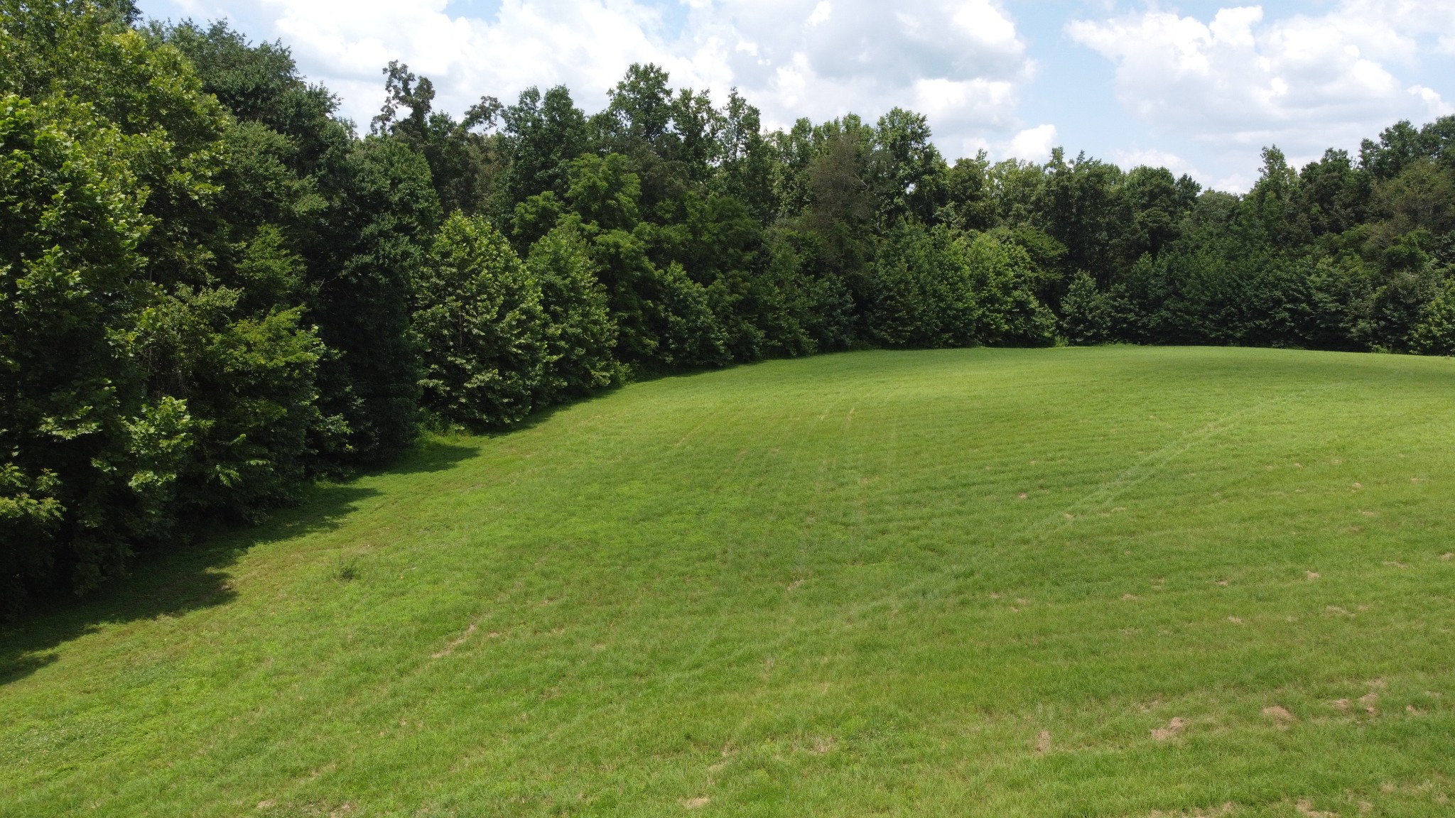 15 Hayes Ridge Road Indian Mound, TN 37079 - Photo 5 of 14 Gallery Image 5