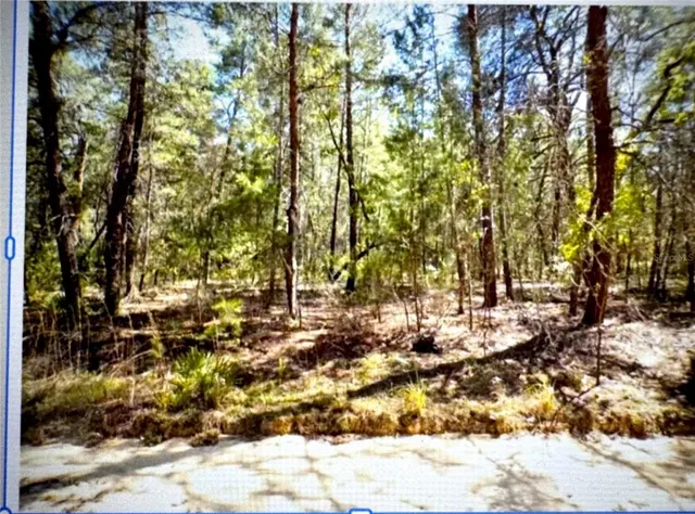a view of outdoor space with a yard