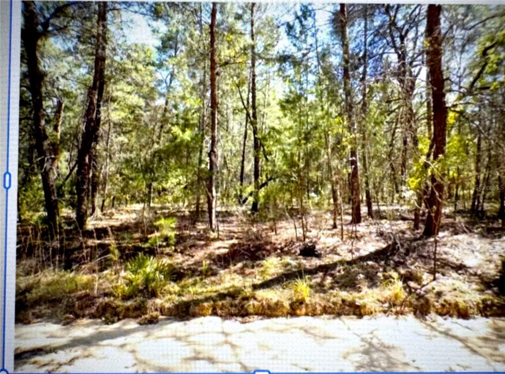 a view of outdoor space with a yard