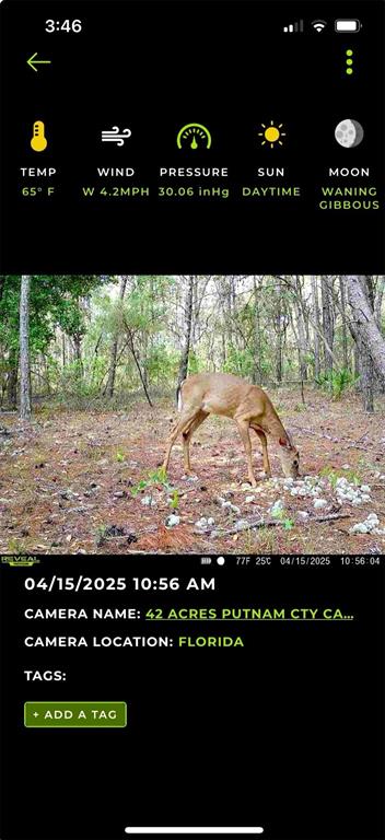 Bellamy Road Melrose, FL 32666 - Photo 4 of 11 a view of swimming pool from a balcony