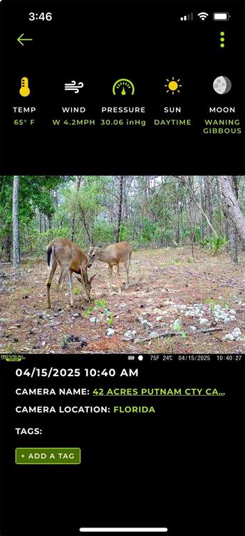 Bellamy Road Melrose, FL 32666 - Photo 5 of 11 a view of outdoor space and yard