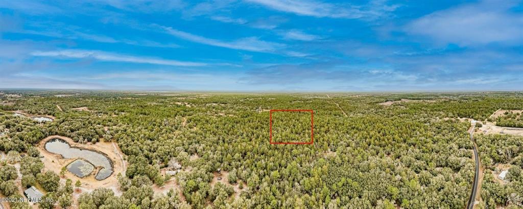 Bellamy Road Melrose, FL 32666 - Photo 9 of 11