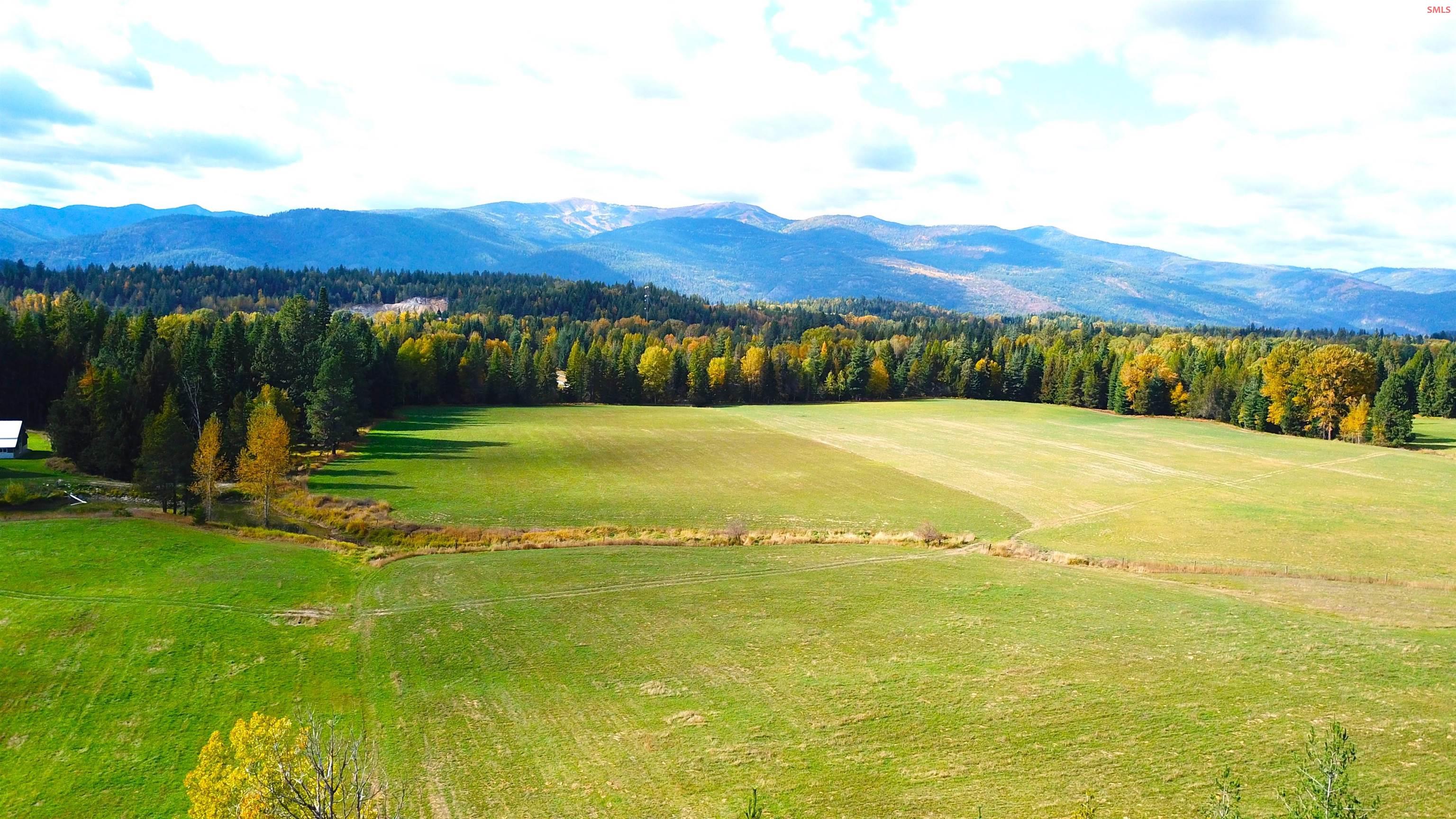 215 East Shingle Mill Road Sandpoint, ID 83864 - Photo 19 of 35