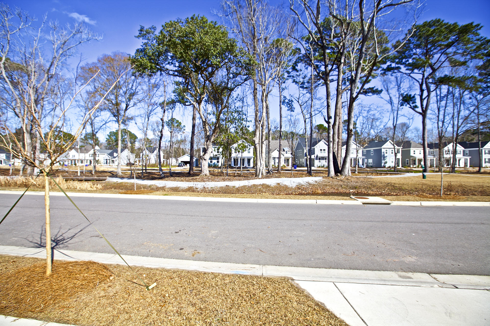1876 Fleming Woods Road Charleston, SC 29412 - Photo 23 of 27 front at park