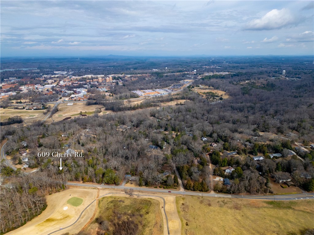 609 Cherry Road Clemson, SC 29631 - Photo 17 of 30