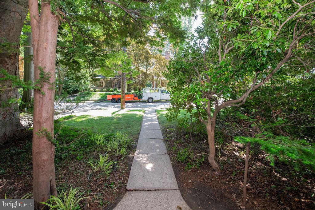 103 Waverly Road Wyncote, PA 19095 - Photo 2 of 41 a view of a pathway with a yard