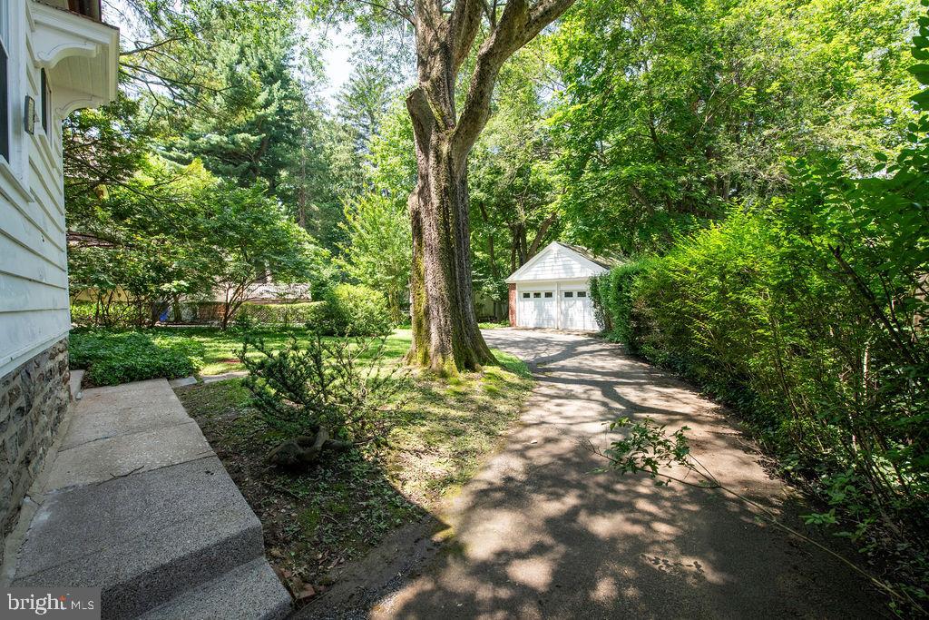 103 Waverly Road Wyncote, PA 19095 - Photo 39 of 41 a backyard of a house with lots of green space