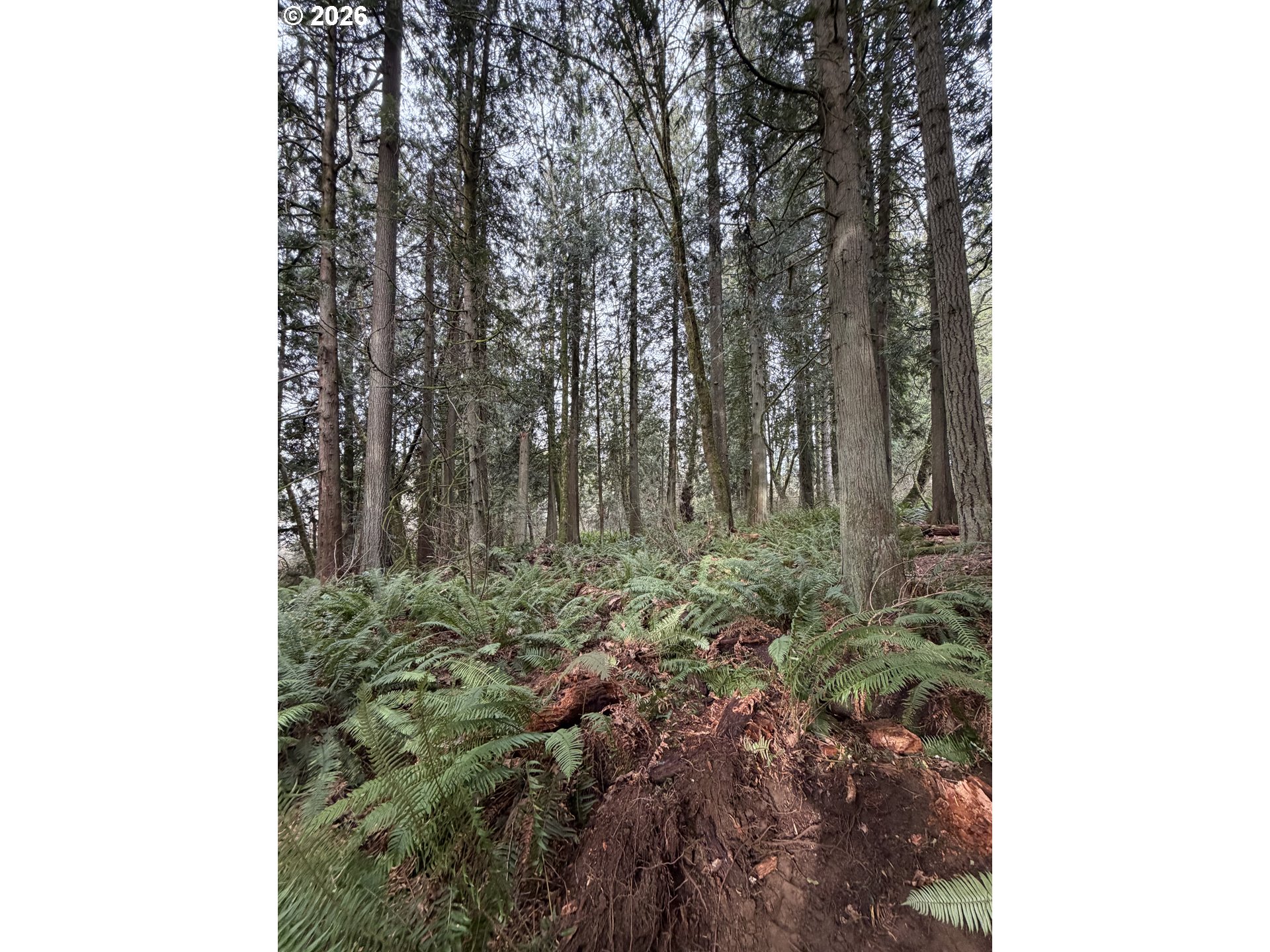 Meserve Road Rainier, OR 97048 - Photo 4 of 16
