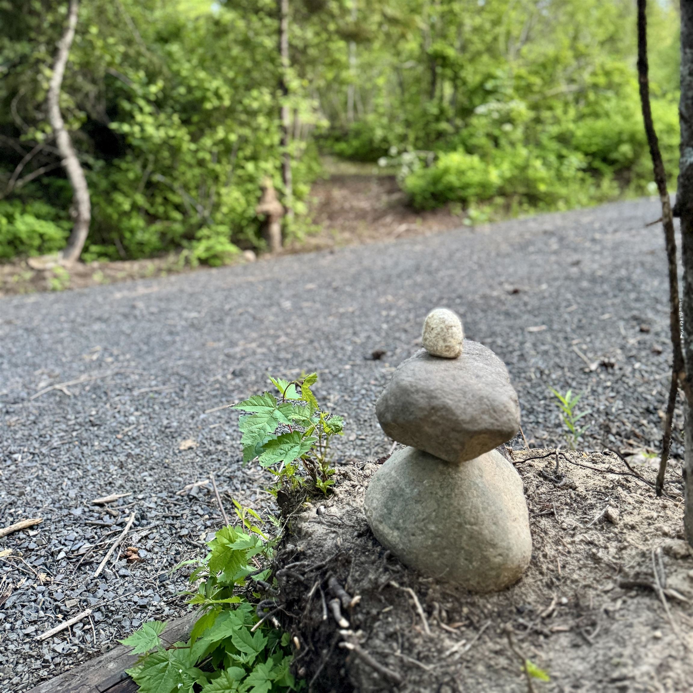 South Swenson Road Deer Park, WA 99006 - Photo 16 of 42