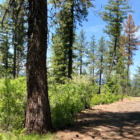 $199,777 | South Swenson Road, Deer Park, WA 99006