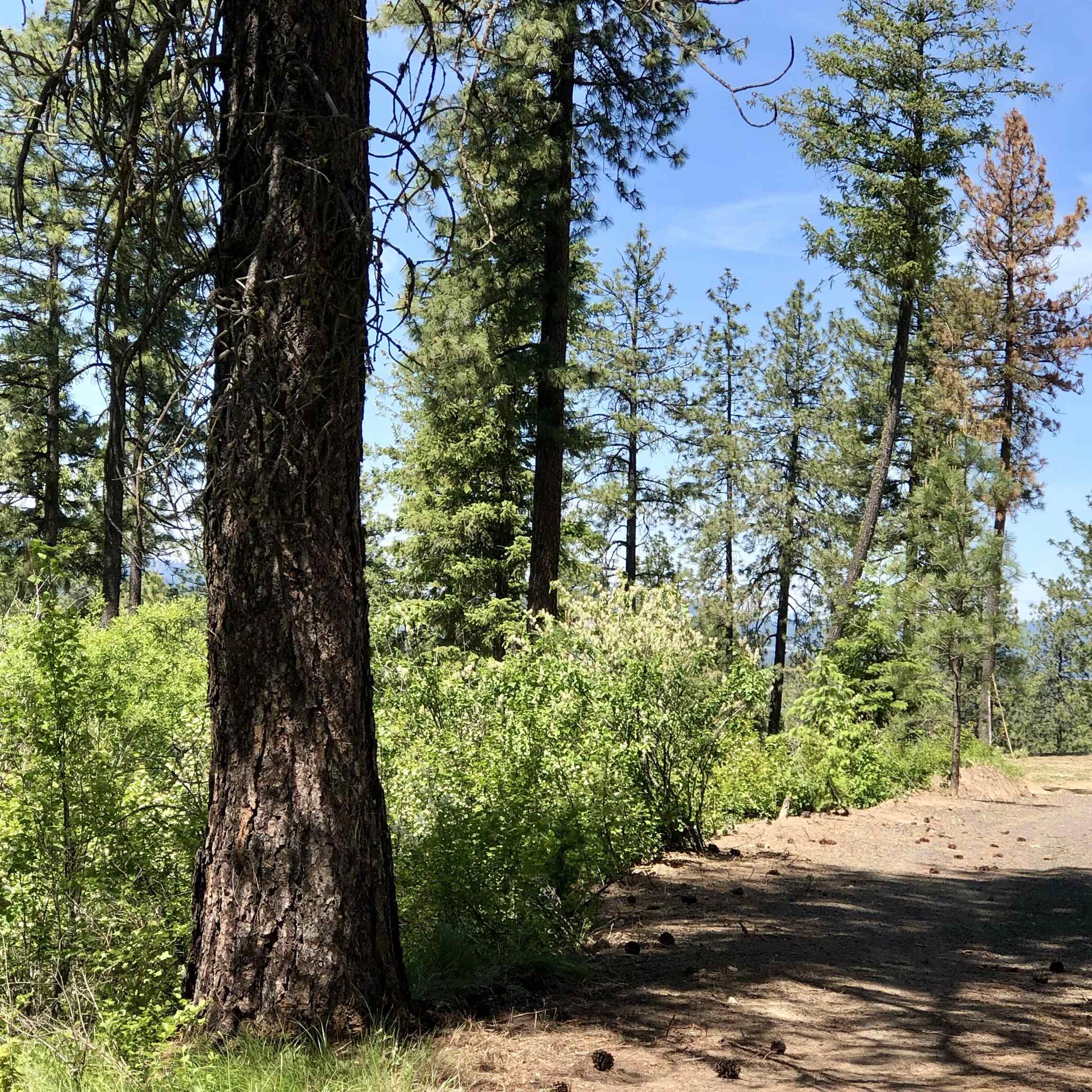 South Swenson Road Deer Park, WA 99006 - Photo 20 of 42