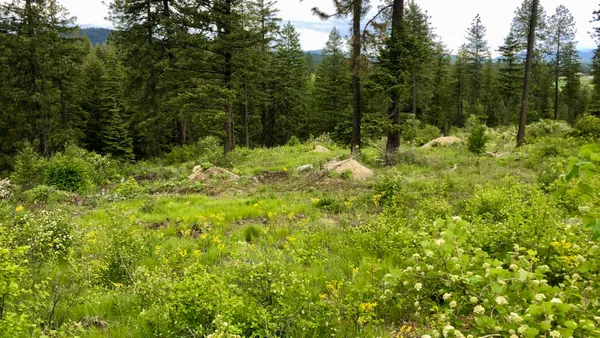 $199,777 | South Swenson Road, Deer Park, WA 99006