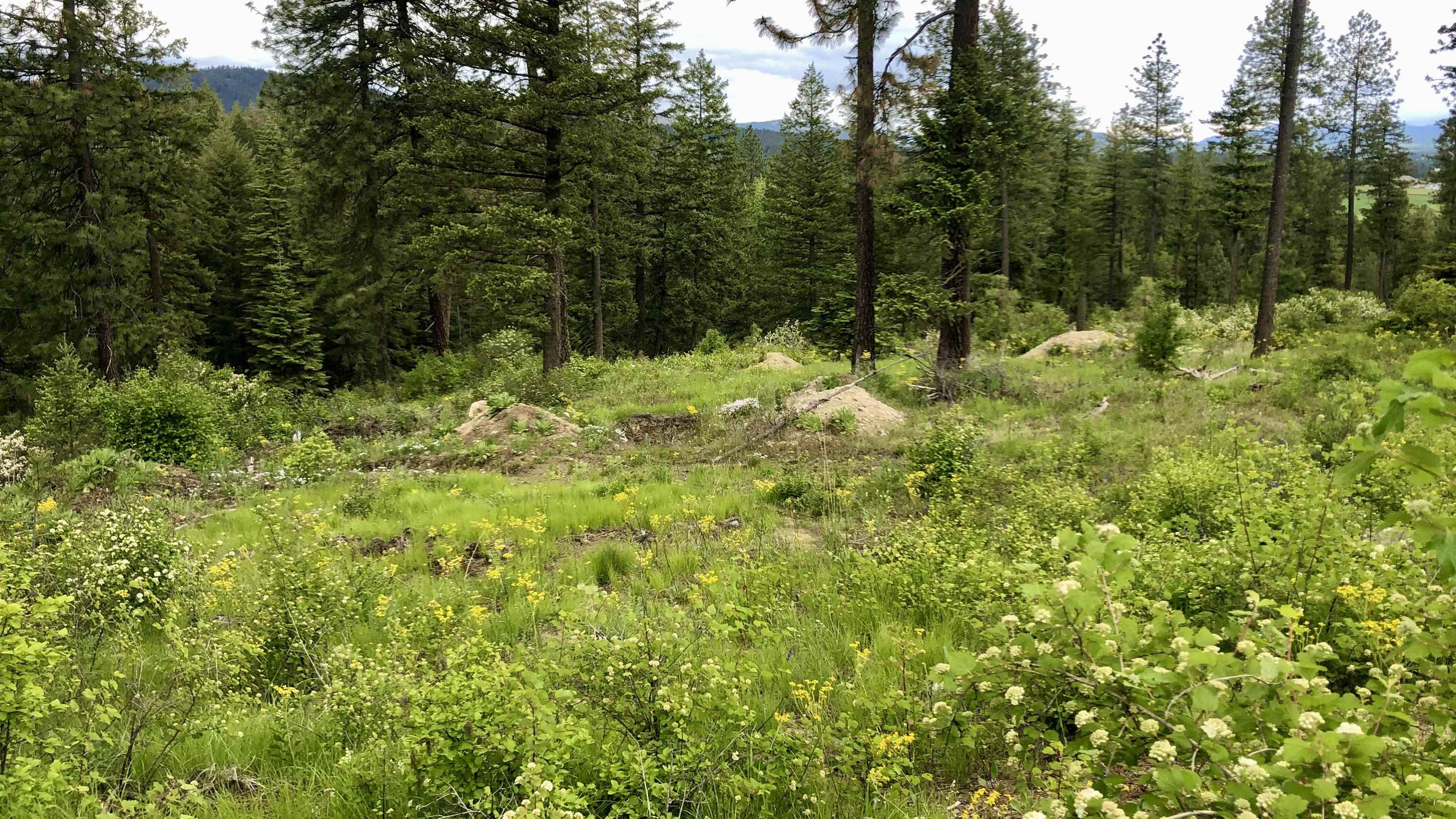 South Swenson Road Deer Park, WA 99006 - Photo 22 of 42