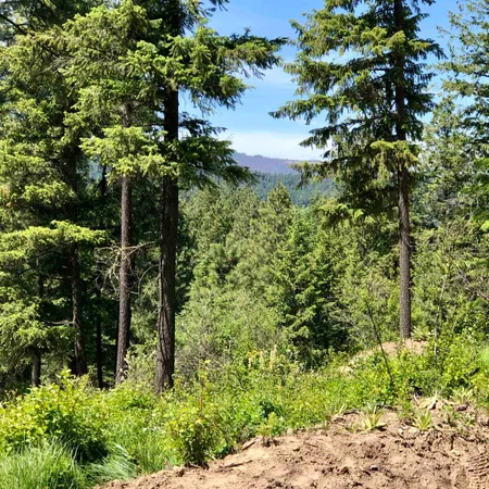 $199,777 | South Swenson Road, Deer Park, WA 99006