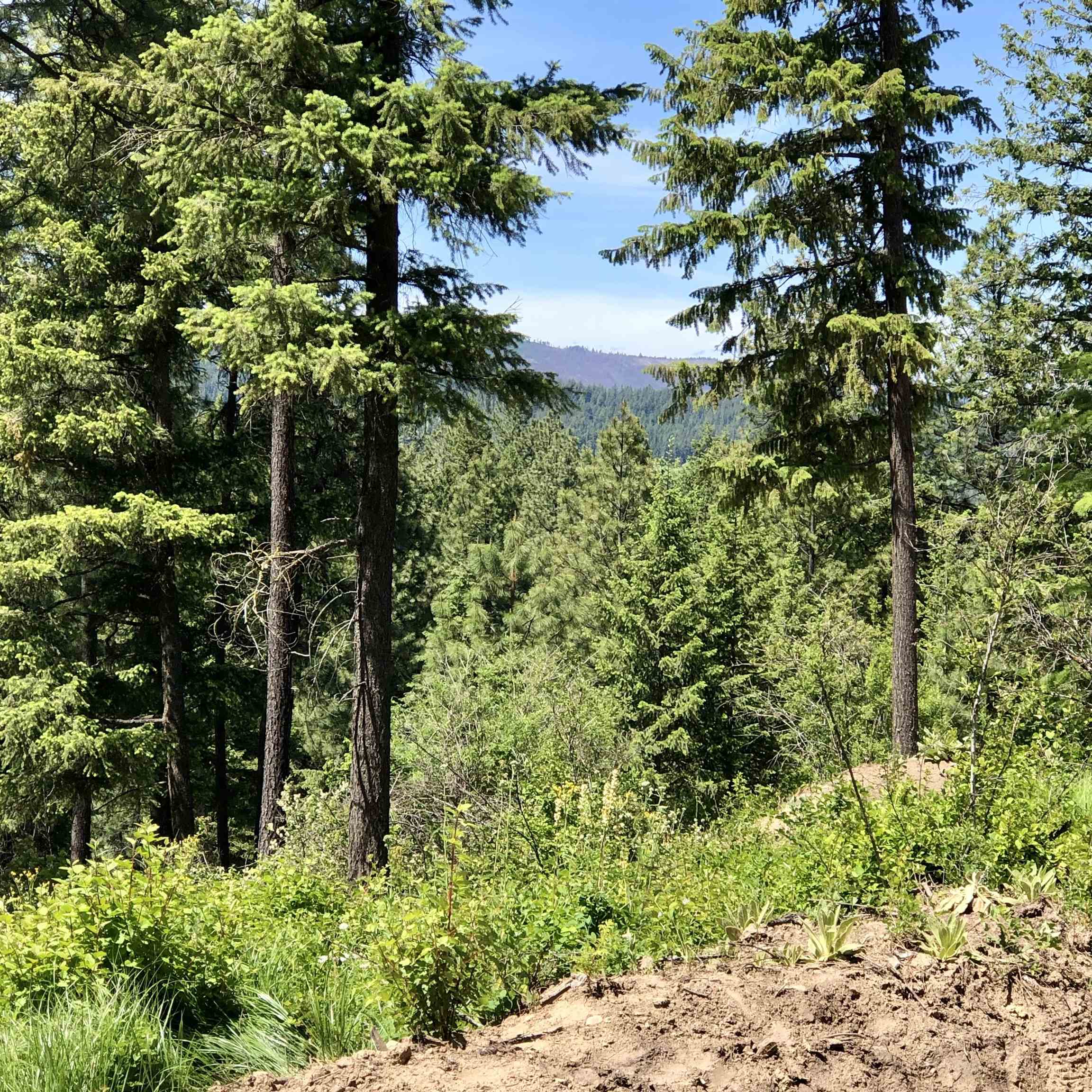 South Swenson Road Deer Park, WA 99006 - Photo 23 of 42