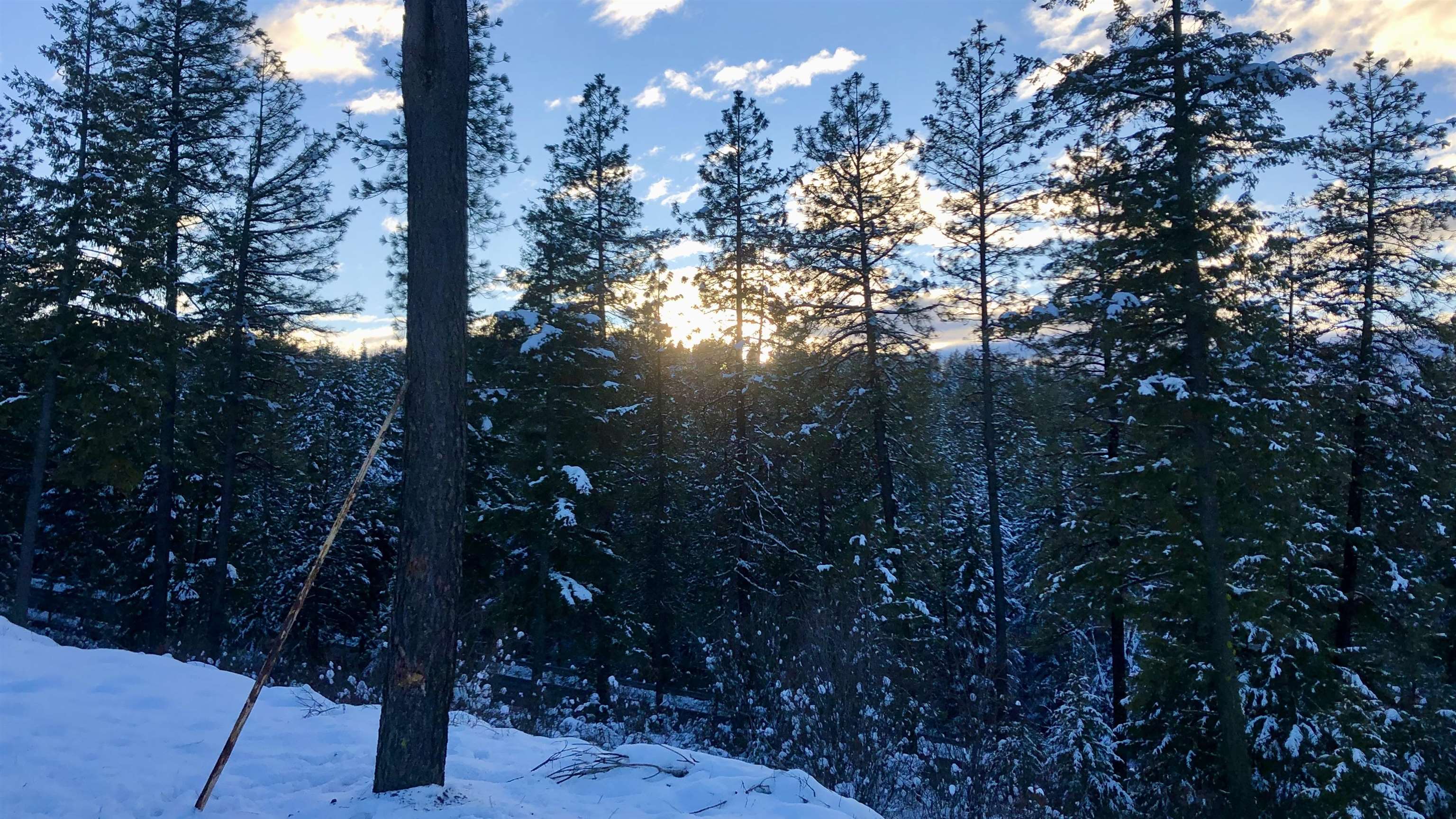 South Swenson Road Deer Park, WA 99006 - Photo 25 of 42