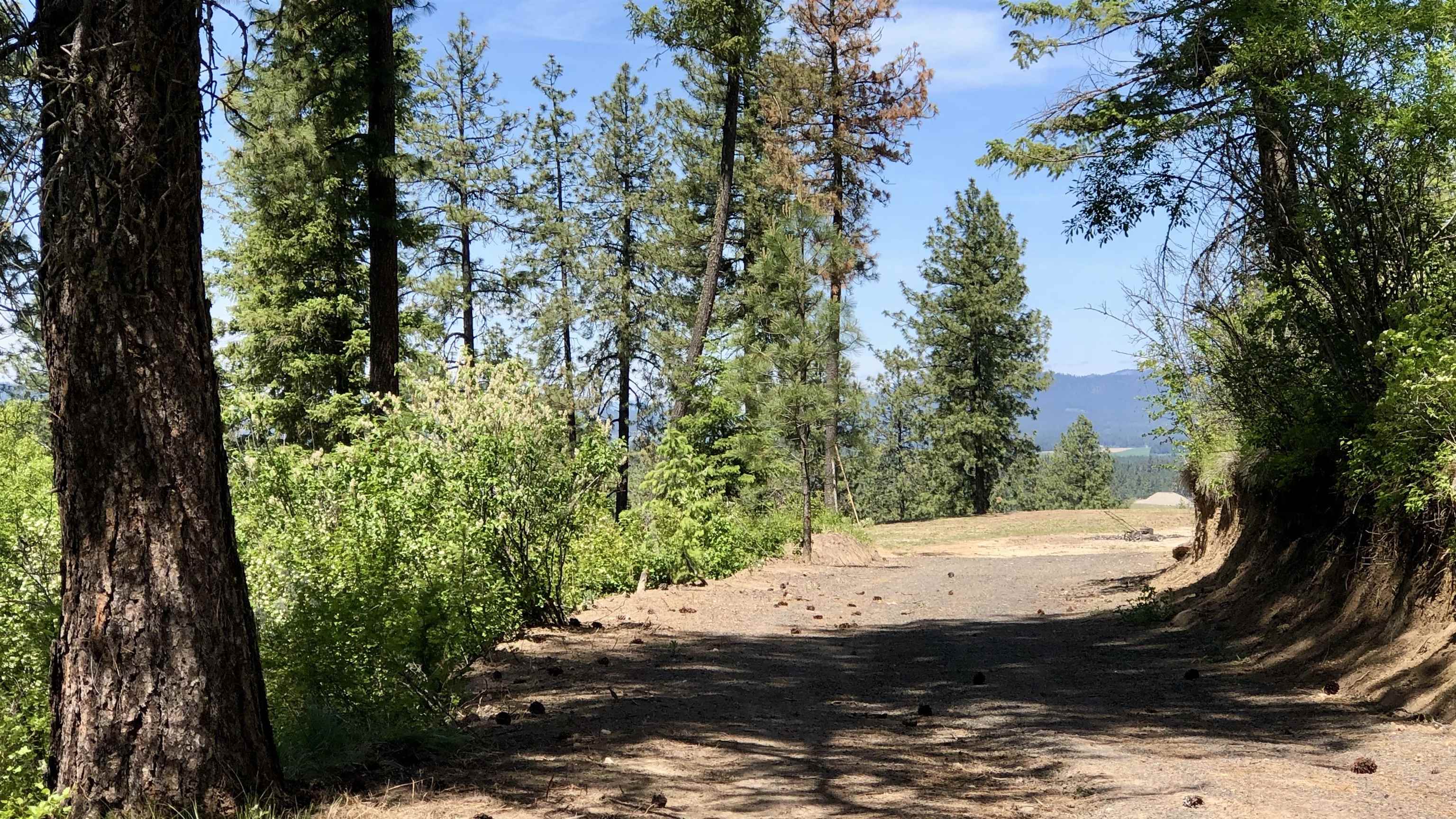 South Swenson Road Deer Park, WA 99006 - Photo 26 of 42