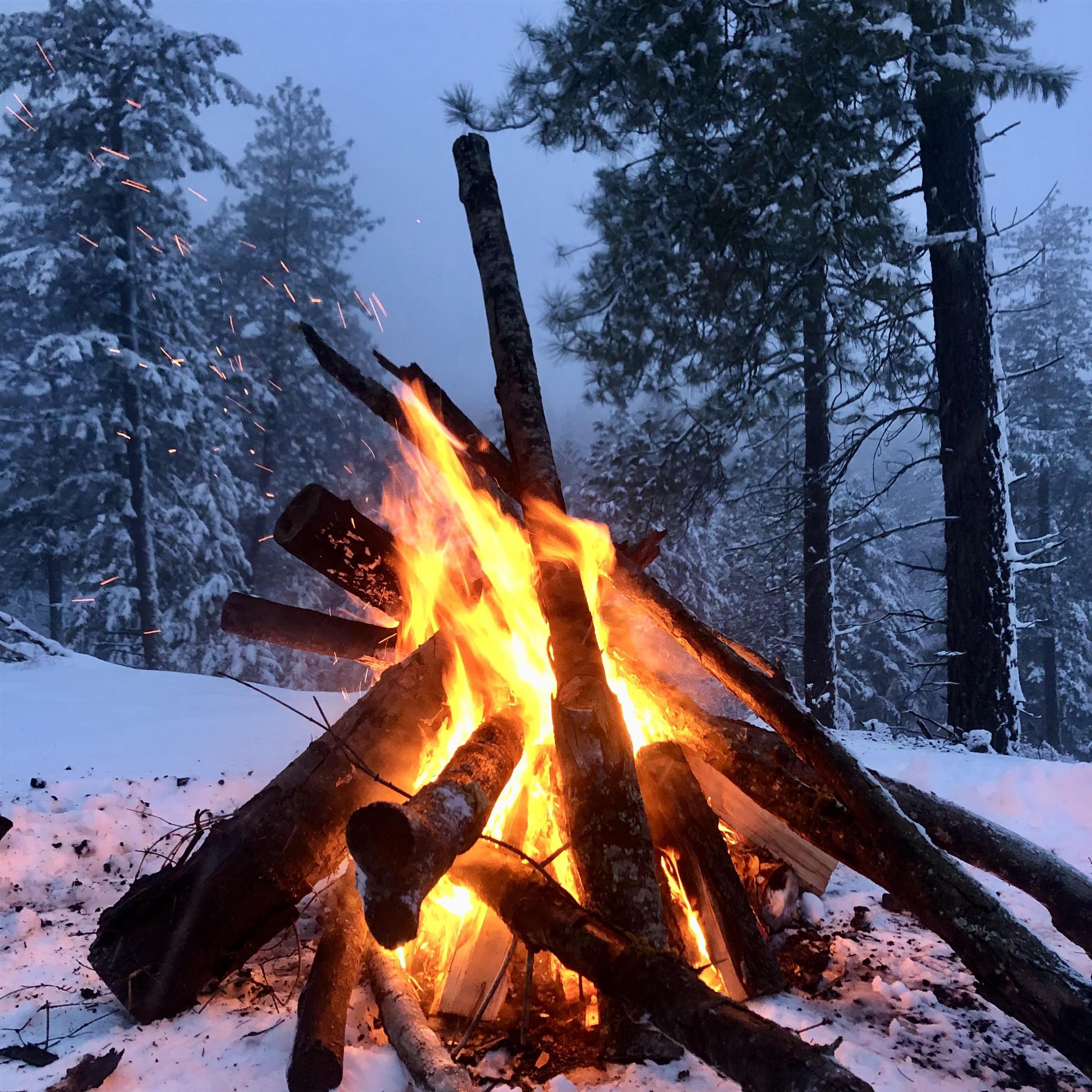 South Swenson Road Deer Park, WA 99006 - Photo 27 of 42