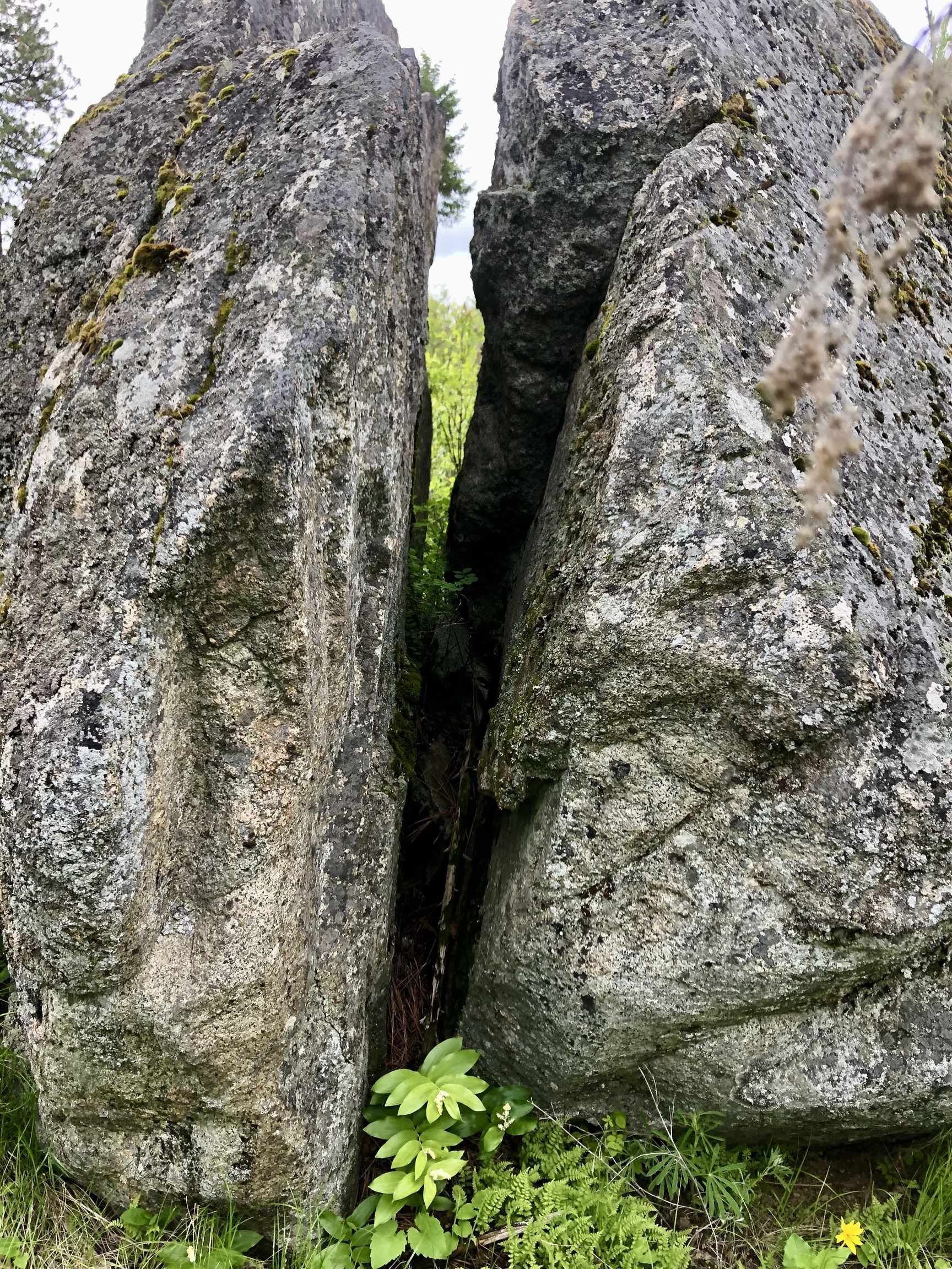 South Swenson Road Deer Park, WA 99006 - Photo 33 of 42