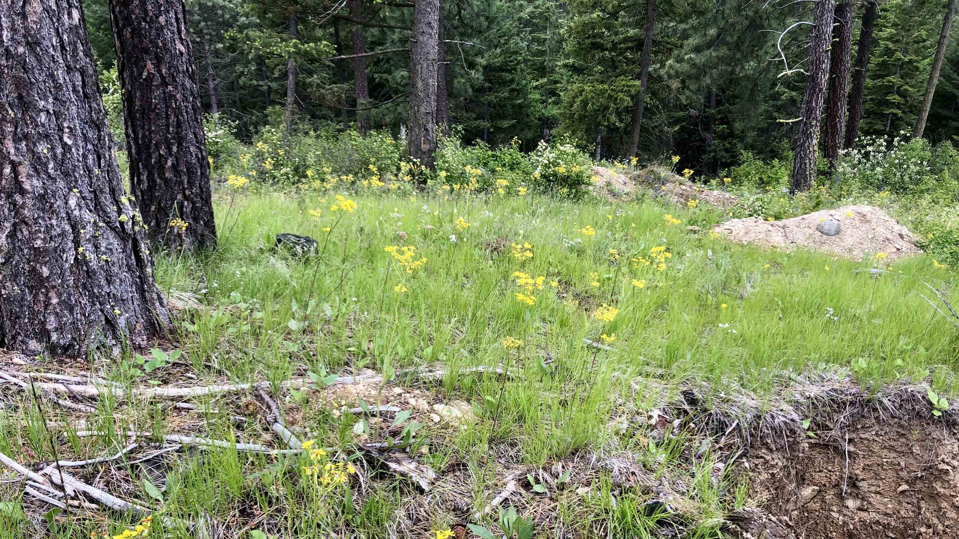 South Swenson Road Deer Park, WA 99006 - Photo 35 of 42