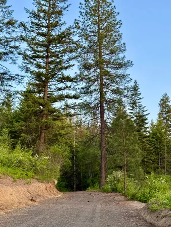 $199,777 | South Swenson Road, Deer Park, WA 99006