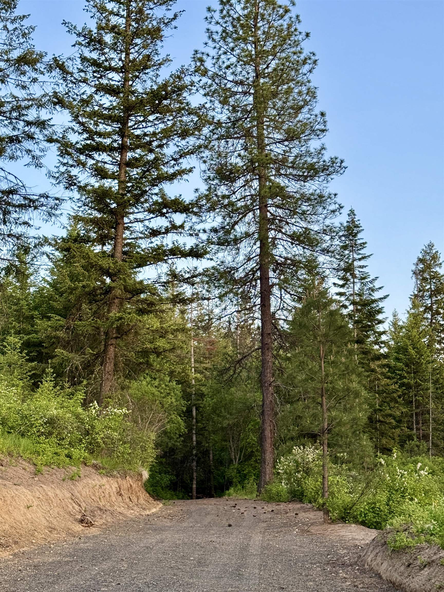 South Swenson Road Deer Park, WA 99006 - Photo 37 of 42