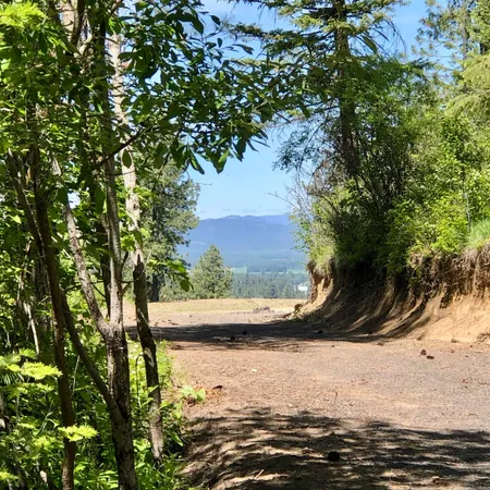 $199,777 | South Swenson Road, Deer Park, WA 99006