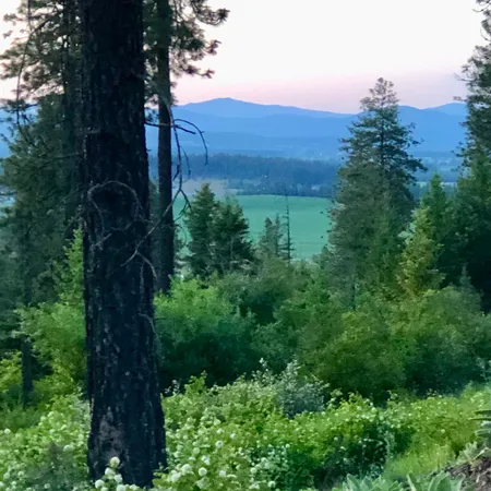 $199,777 | South Swenson Road, Deer Park, WA 99006