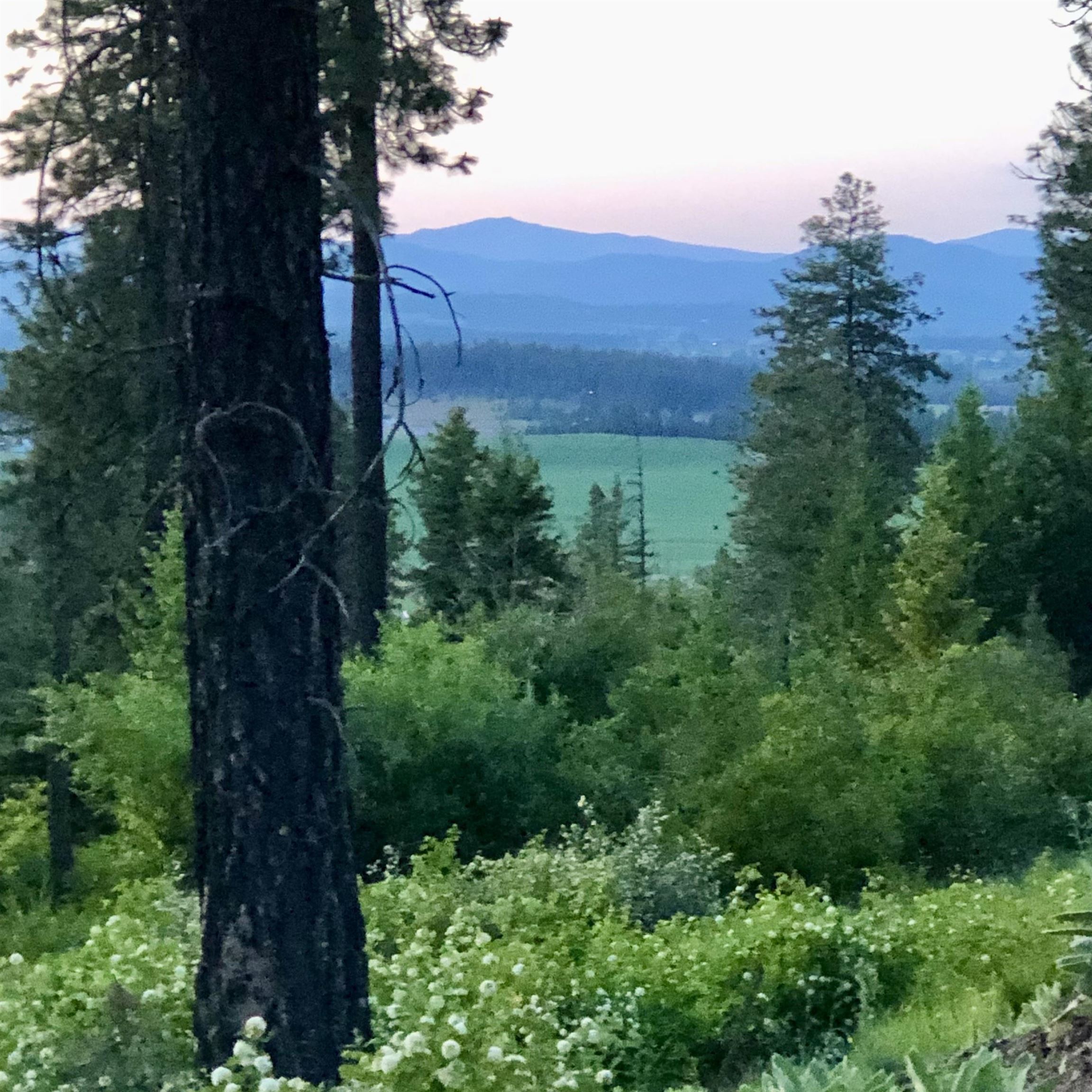 South Swenson Road Deer Park, WA 99006 - Photo 5 of 42