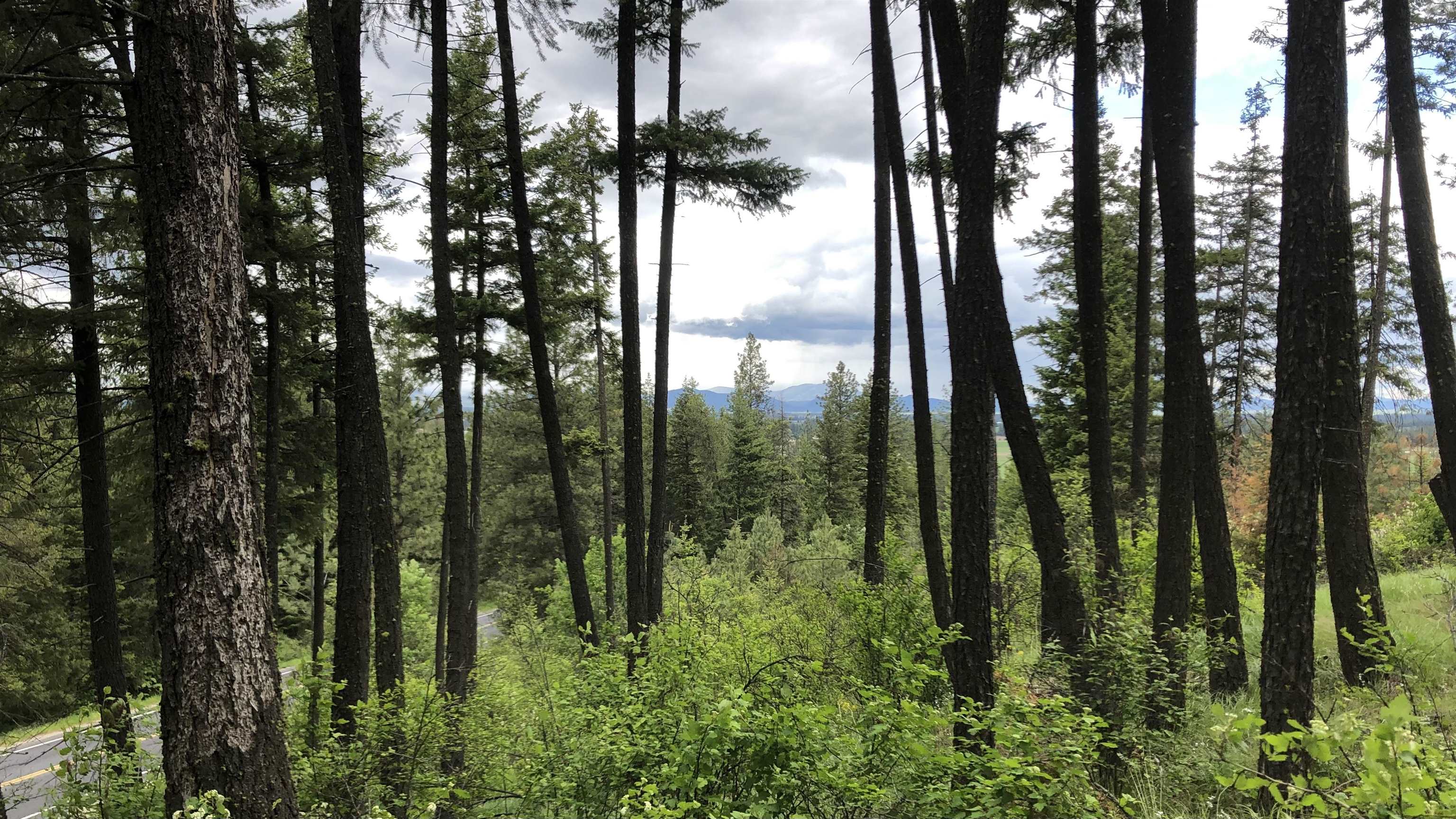 South Swenson Road Deer Park, WA 99006 - Photo 10 of 42