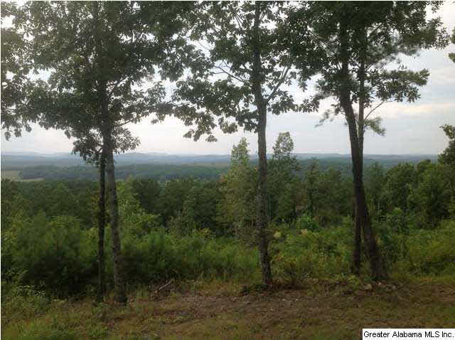 1900 Pepper Road, Unit 55 AC Ashland, AL 36251 - Photo 16 of 20