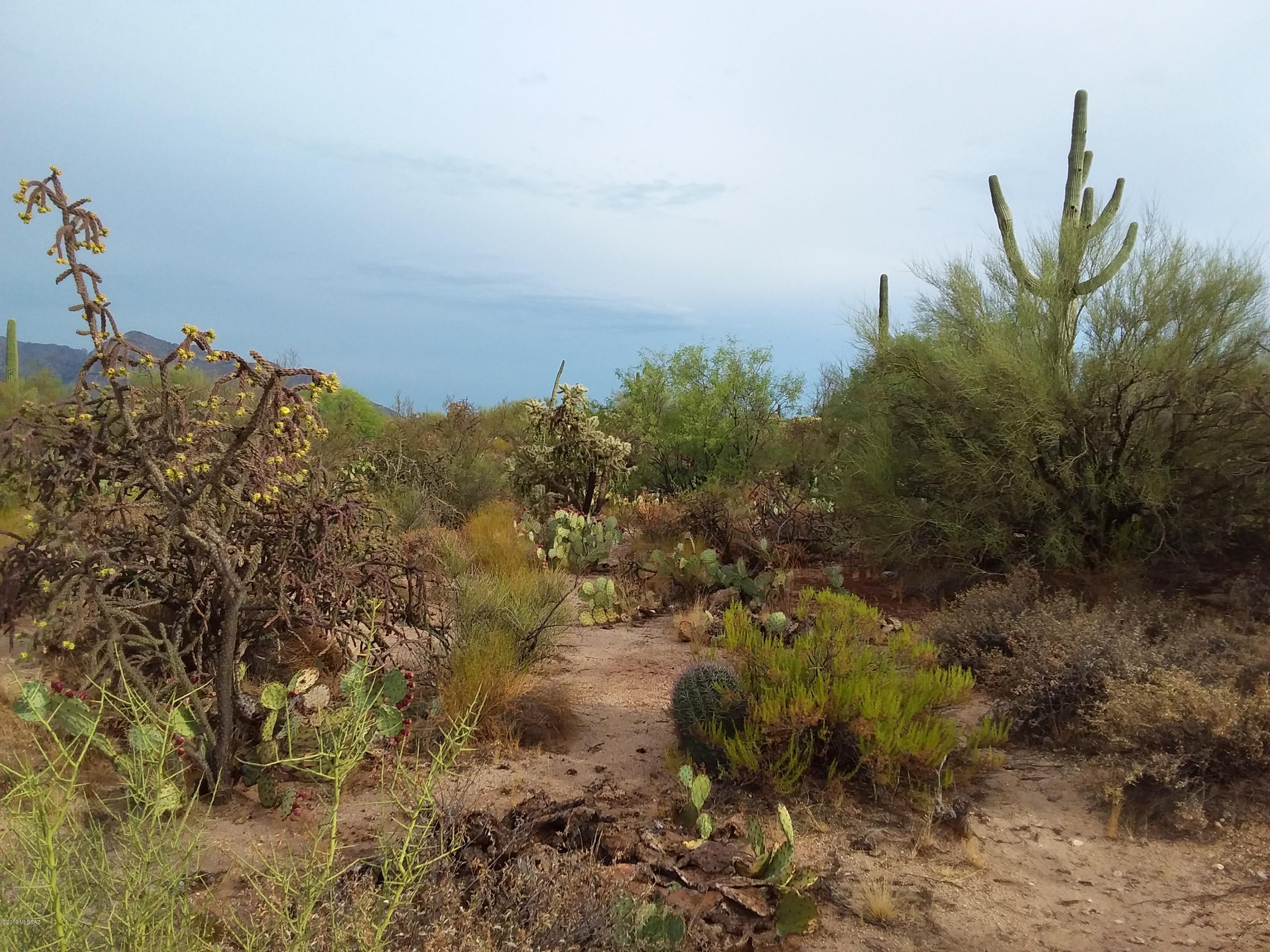 2315 West Tangerine Road Tucson, AZ 85742 - Photo 18 of 27