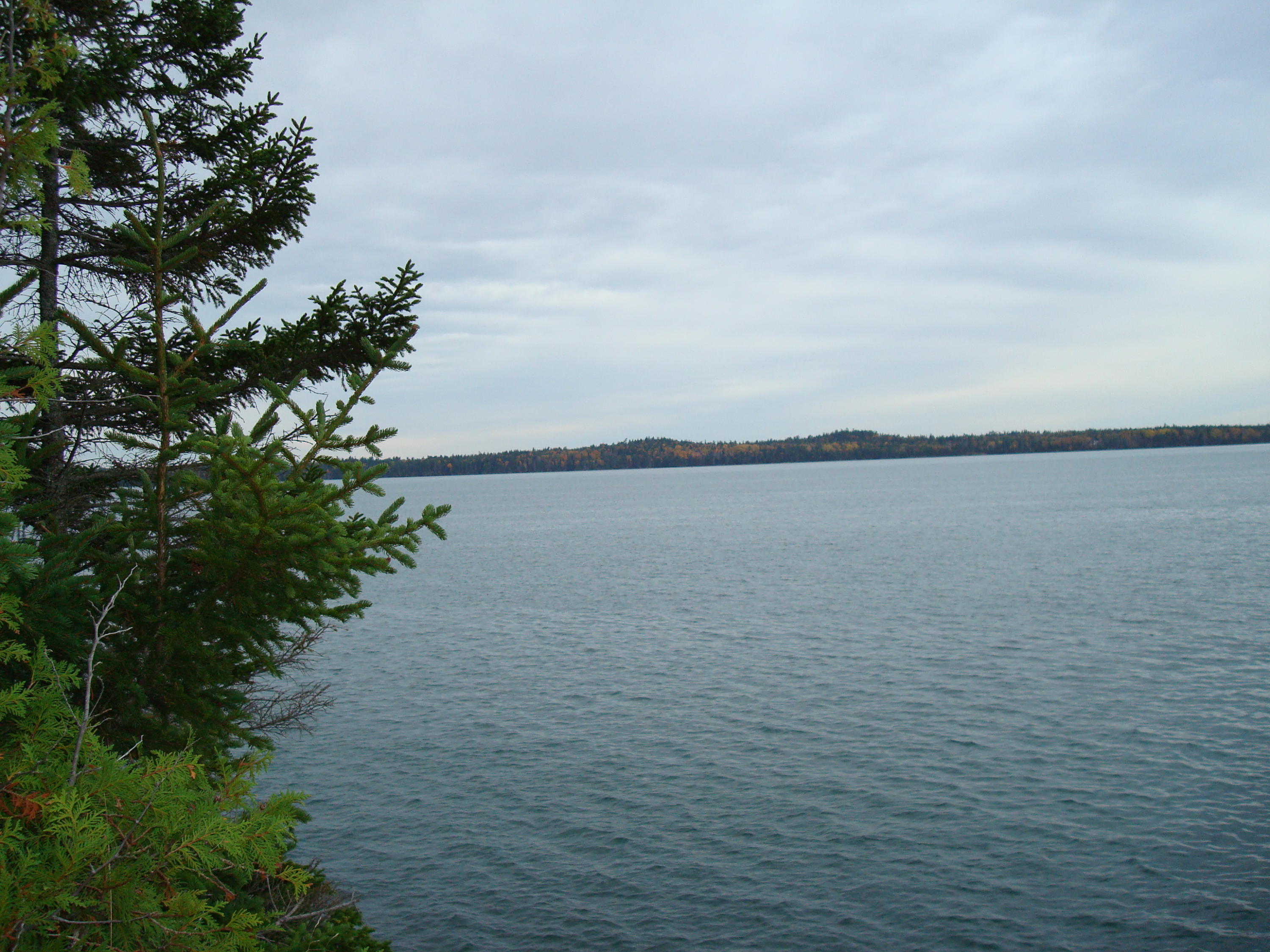 Lot 24-8 North Lubec Road Lubec, ME 04652 - Photo 9 of 10 DSC00019