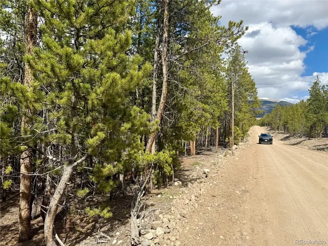 a view of a yard with plants and trees