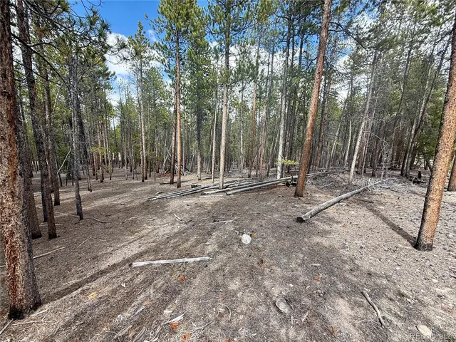 a view of outdoor space with trees