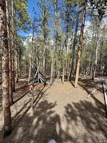 a view of outdoor space and yard